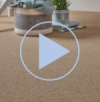 Romeo Carpet collection Video in buttercream Romeo Carpet collection Video in buttercream